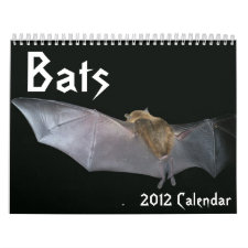 Bats Calendar calendar