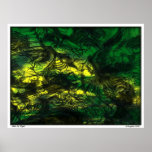 Bats In Flight Posters