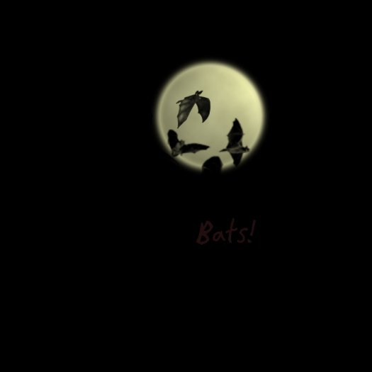 Bats Shirt