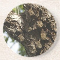 Bats on a tree Coaster