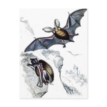 Bats Postcard