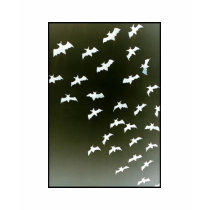 Bats t-shirts by amymae7772 Bats t-shirts