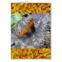 Battered Beauty cards