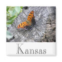 Battered Beauty magnets