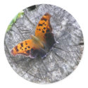 Battered Beauty stickers