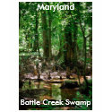 Battle Creek Swamp, Maryland t-shirts