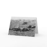 Battle of Gettysburg ~ Harvest of Death July 1863 Cards