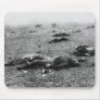 Battle of Gettysburg ~ Harvest of Death July 1863 Mousepad