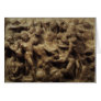 Battle of the Lapiths and Centaurs by Michelangelo Card