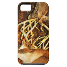 Battling Bucks IPhone 5 Case