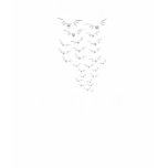 Batty about bats womens tshirt