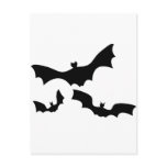 batty postcard