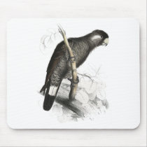 Baudin’s Cockatoo by Edward Lear Mouse Mats