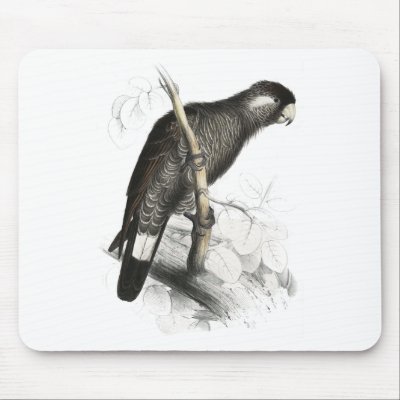 Baudin’s Cockatoo by Edward Lear Mouse Mats by DejaVuParrots