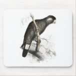 Baudin’s Cockatoo by Edward Lear Mouse Mats