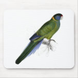 Bauer’s Parrakeet by Edward Lear Mousemats