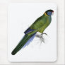 Bauer’s Parrakeet by Edward Lear Mousepads