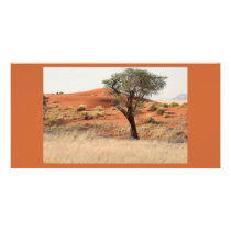 Baum in der Wüste photo cards