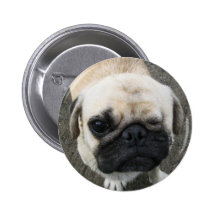 Bauwk ... Pug Dog ... Thailand Buttons