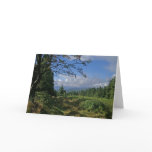 Bavarian Forest • Greeting Card