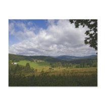Bavarian Forest Postcard