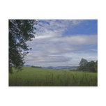 Bavarian Forest Postcard