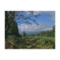 Bavarian Forest Postcard