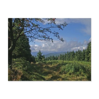 Bavarian Forest Postcard by SabineSt