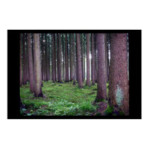 Bavarian Forest posters