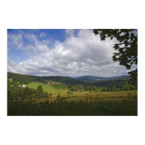 Bavarian Forest Poster posters
