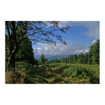 Bavarian Forest Poster posters