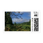 Bavarian Forest Stamp