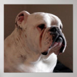 Baxter Crews  posters