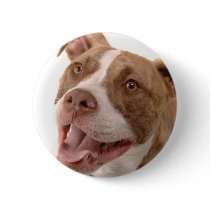 Baxter-rescued dog button