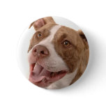Baxter-rescued dog buttons