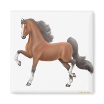 Bay American Saddlebred Horse Pin magnets