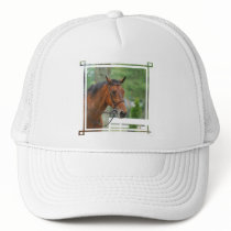 Bay Arab Horse Baseball Hat
