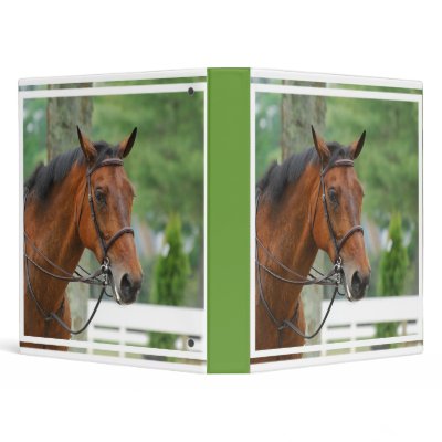 Bay Arab Horse Binder by HorseStall