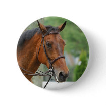 Bay Arab Horse Button