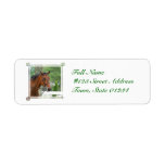 Bay Arab Horse Mailing Labels