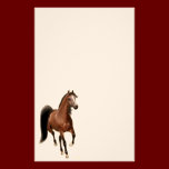 Bay Arabian Horse Stationery stationery