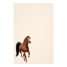 Bay Arabian Horse Stationery