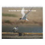 Bay Area Birds Calendar 2011