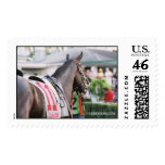 Bay at Calder Race Course postage