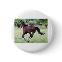 bay baby buttons