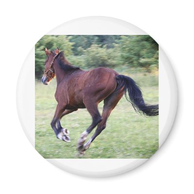 bay baby refrigerator magnet by kathiscc