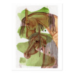 Bay & Buckskin Horses On Serpentine Watercolor Postcard