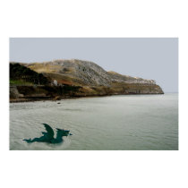 BAY DRAGON posters