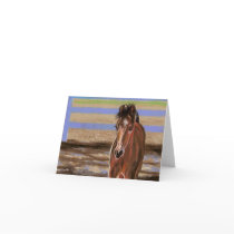 Bay Filly cards