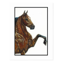 Bay Harness Pony 3 Post Card